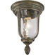 Ardmore 1 Light Outdoor Flush Mount, The Great Outdoors