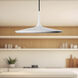 Disc LED 16.5 inch White Pendant Ceiling Light