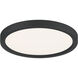 Outskirts 11 inch Earth Black Flush Mount Ceiling Light