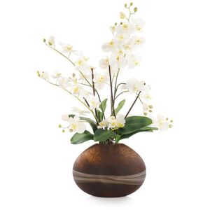 Desert Orchids Floral