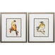 Eco Bird Orange and Blue Framed Art, Propac