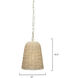 Canal 1 Light 12 inch Natural Pendant Ceiling Light
