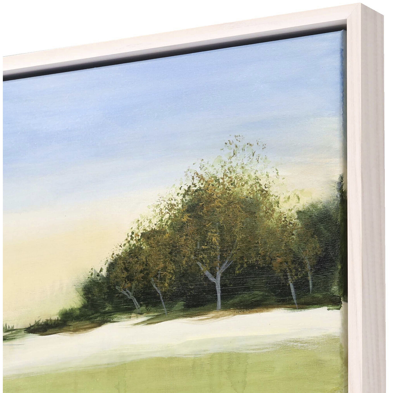 Soft Focus Green and Blue and White and Yellow Canvas, The Studio