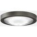 Spitfire LED Black Fan Light