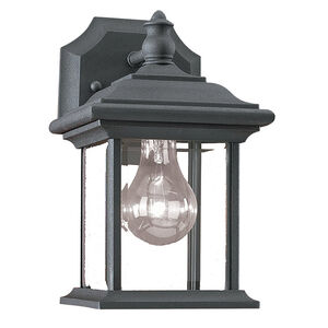 Trout 1 Light 9.75 inch Black Outdoor Wall Lantern