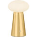Cashel 10 inch 3 watt Aged Brass Rechargeable Table Lamp Portable Light