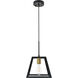 Coatesville 1 Light 9 inch Brass and Black Pendant Ceiling Light