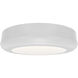 Parthenon 1 Light 5.00 inch Flush Mount