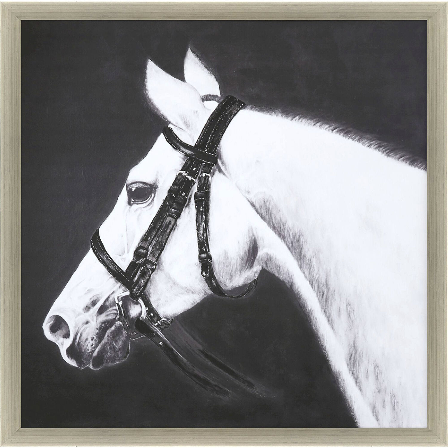 Animals Black and White Framed Art
