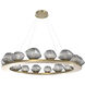 Mesa LED Gilded Brass Chandelier Ceiling Light, Ring