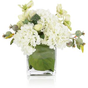 Beautiful Bounty Botanical, Fresh Water Look