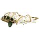 Curling Decorative Orchid