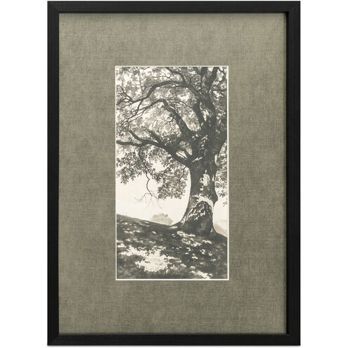 Arise 32 X 24 inch Print, Framed