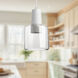 Samson Pendant Ceiling Light in Clear, Clear Glass Shade