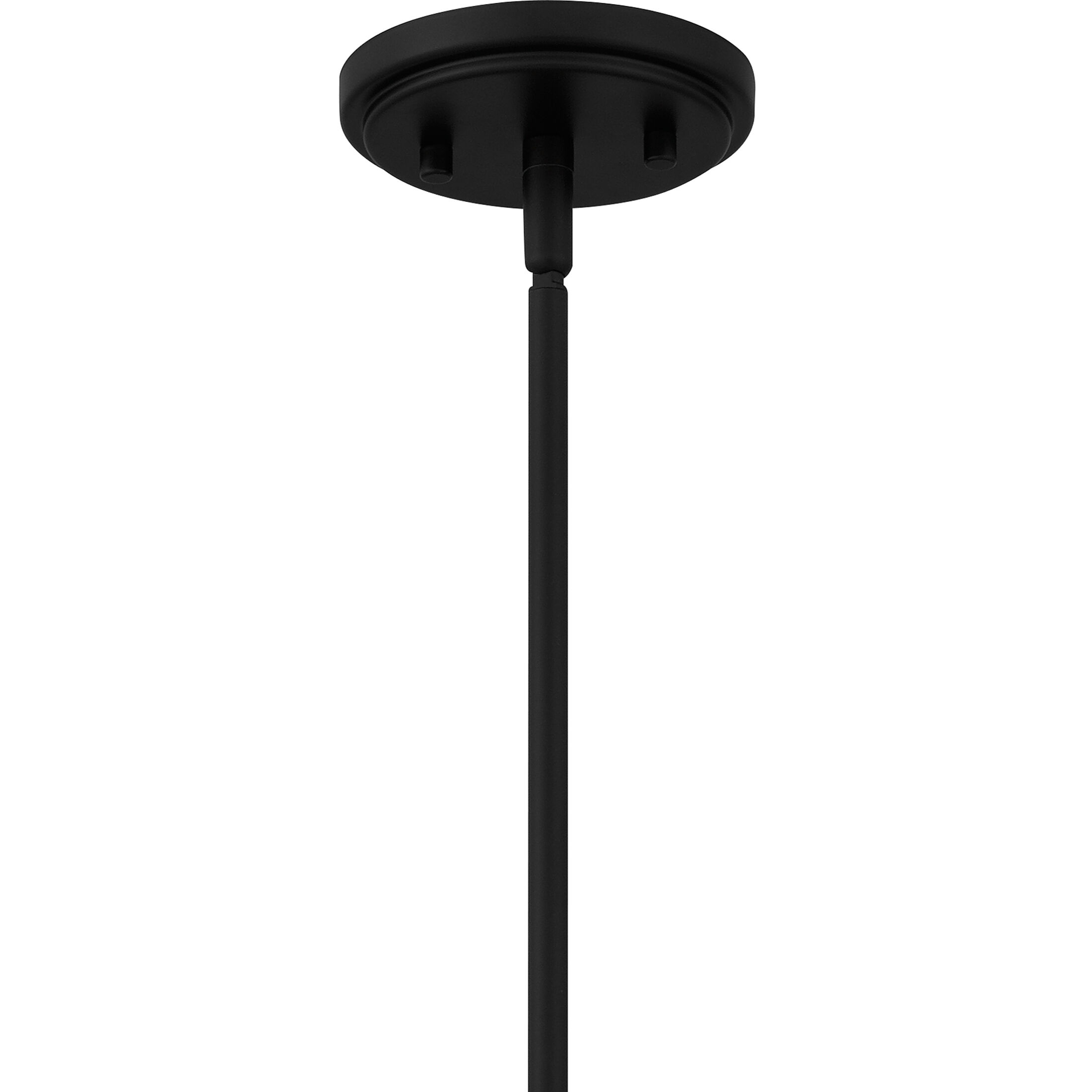 Rainier 4 Light 22 inch Matte Black Pendant Ceiling Light