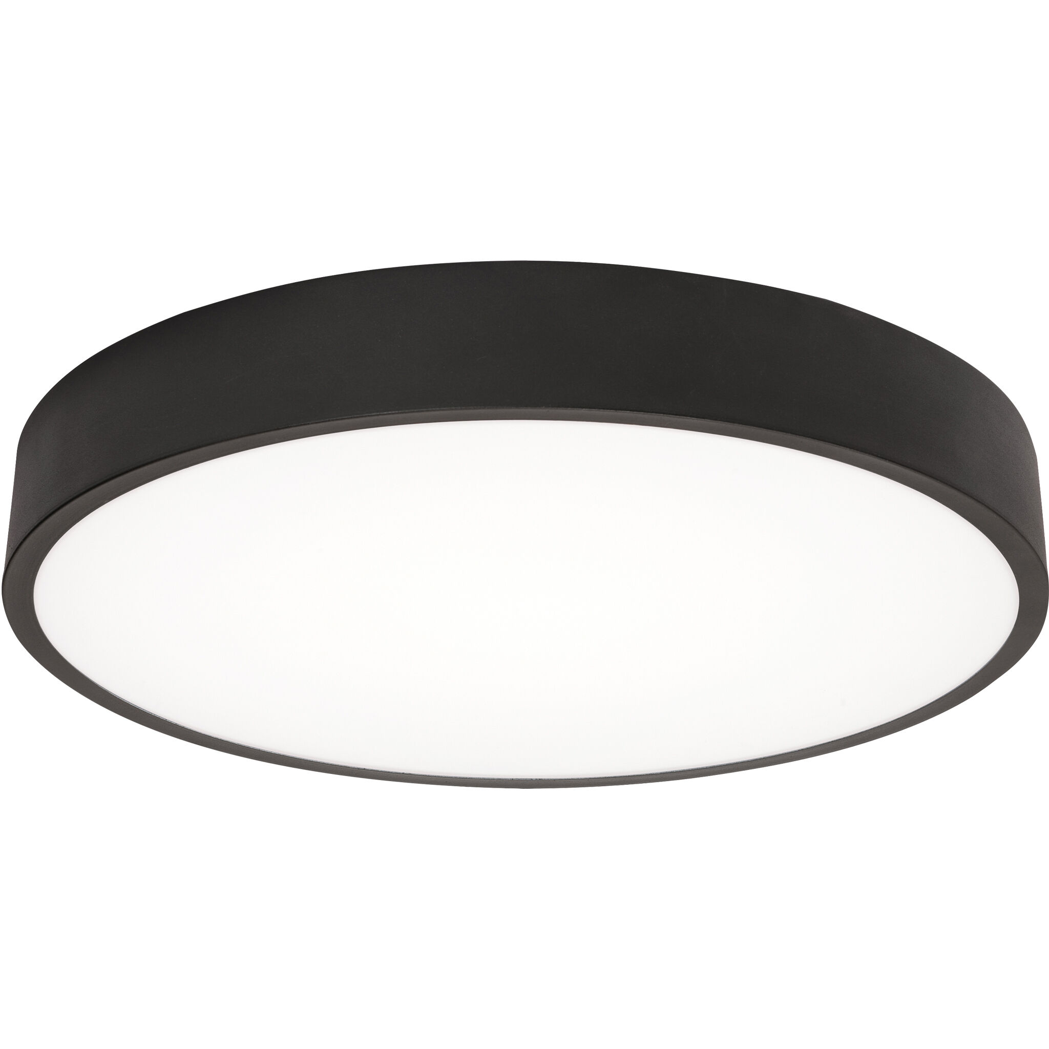 Bailey LED 14 inch Black Flush Mount Ceiling Light