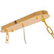 Canada 16 Light 25 inch Gold Chandelier Ceiling Light