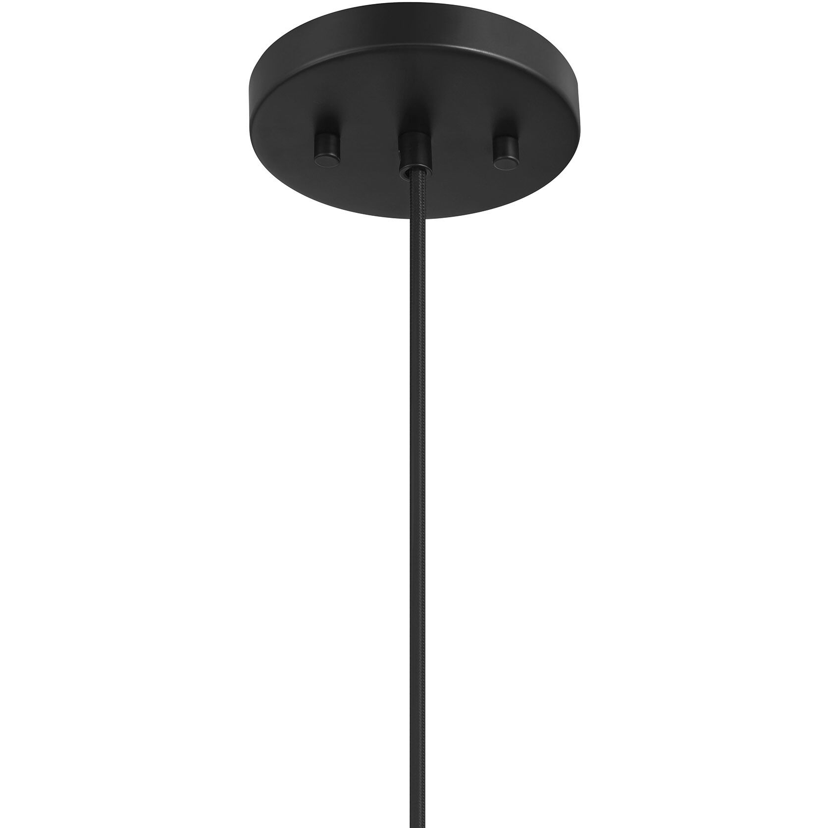 Coastal 1 Light 12.75 inch Matte Black Pendant Ceiling Light