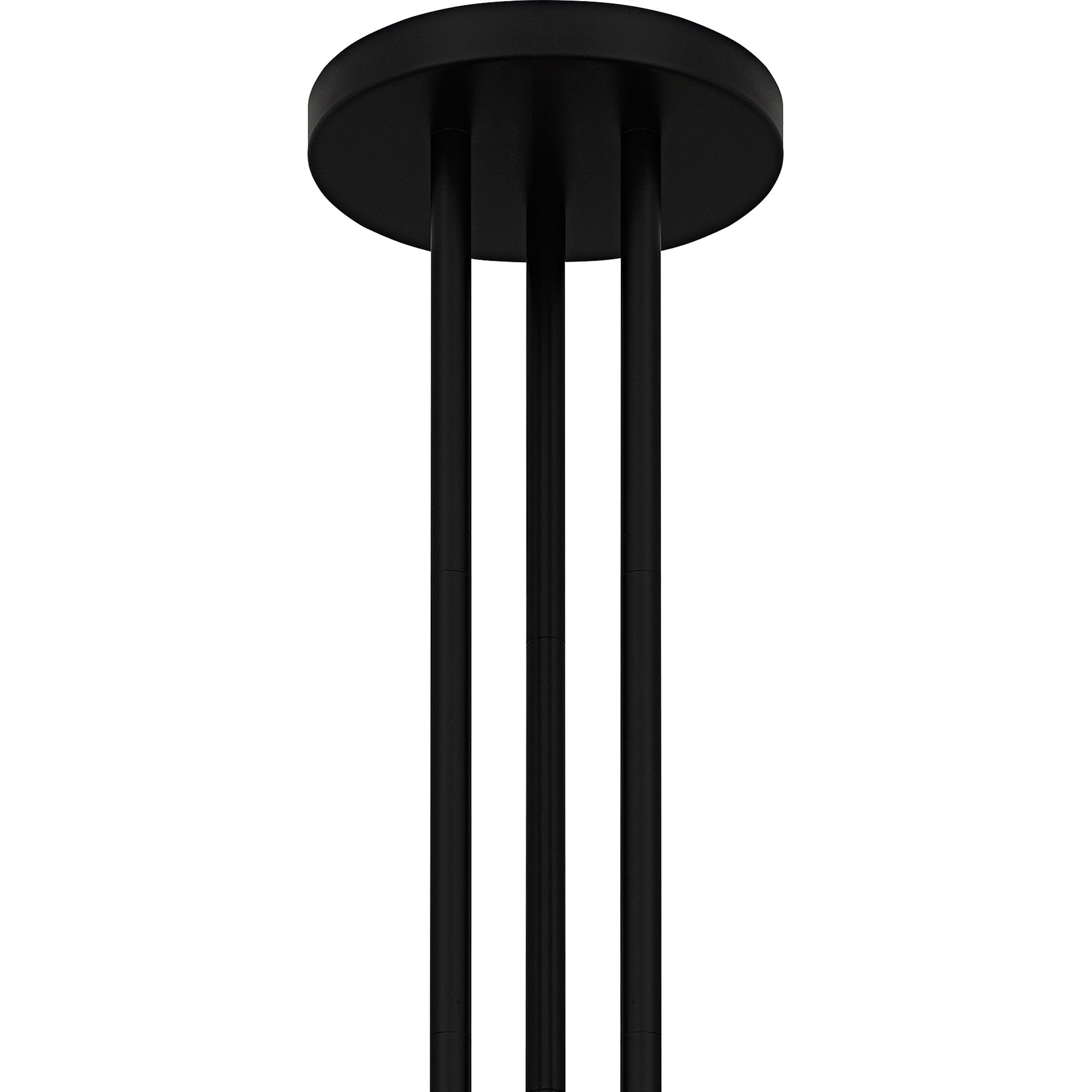 Winsland 12 Light 30 inch Matte Black Chandelier Ceiling Light