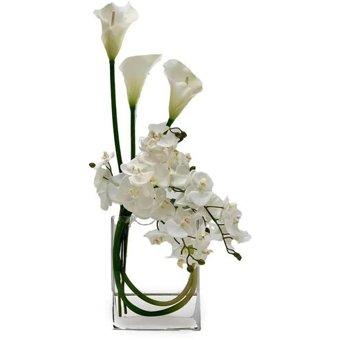 Snow White Blooms Botanical/Floral