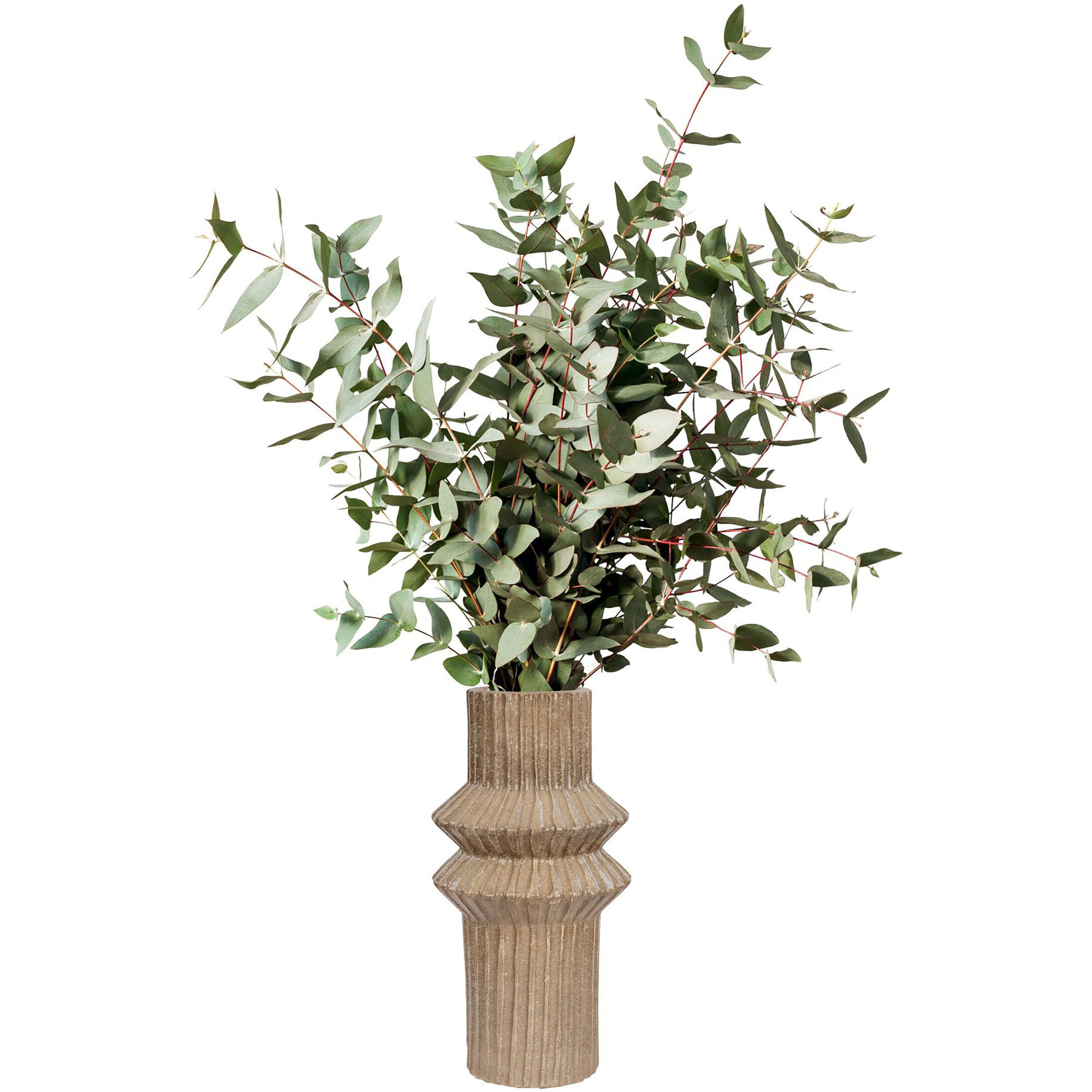 Primea 12 inch Vase