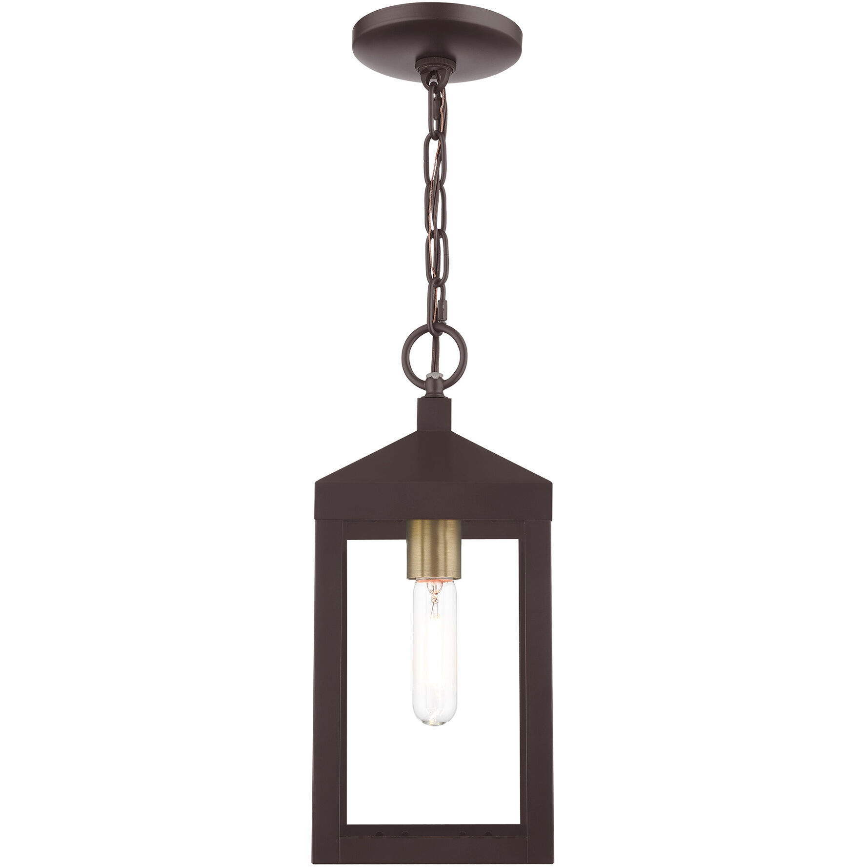Nyack 1 Light 6.25 inch Bronze with Antique Brass Cluser Outdoor Pendant Lantern