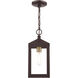 Nyack 1 Light 6.25 inch Bronze with Antique Brass Cluser Outdoor Pendant Lantern