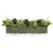 Leah Green Decorative Plant