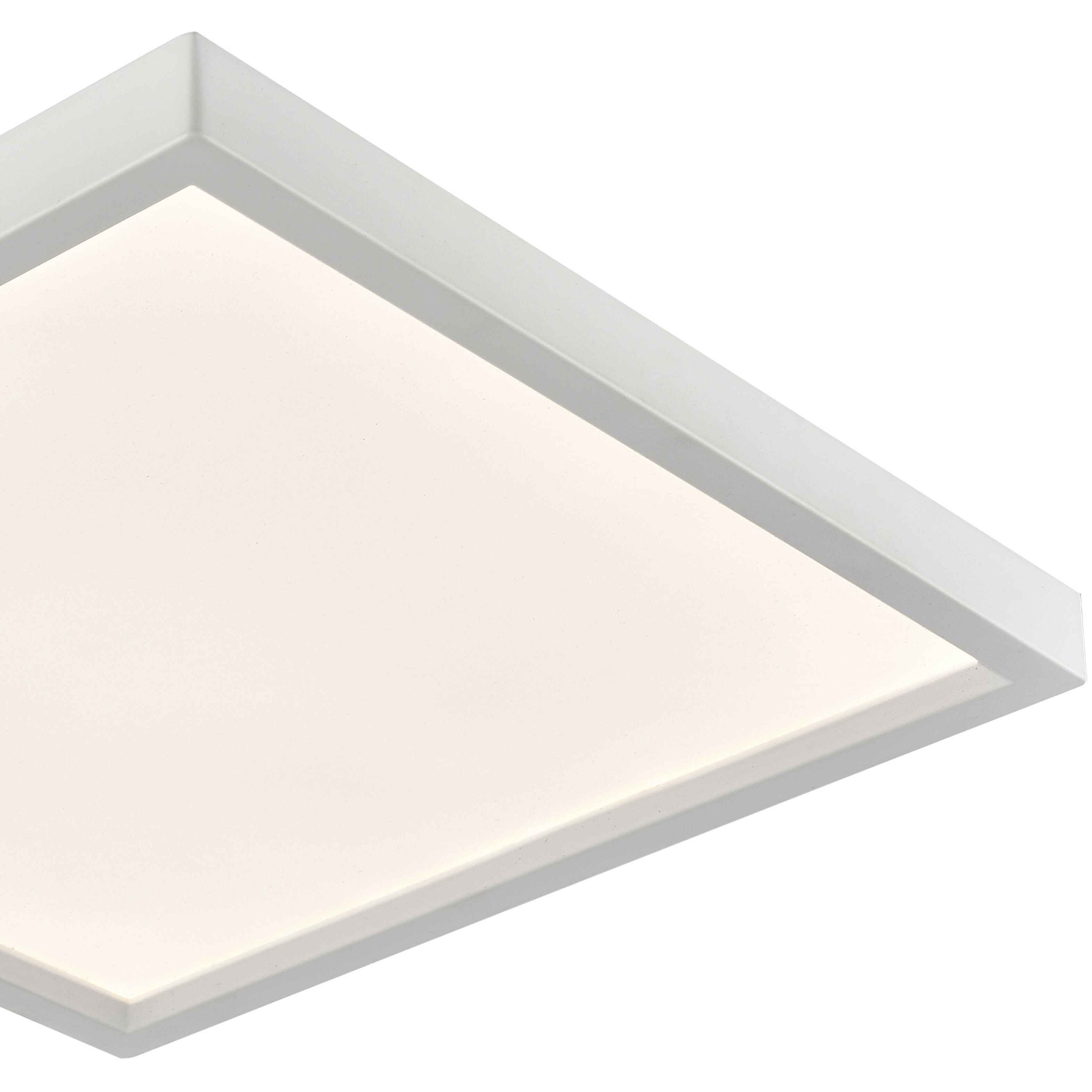 Titan Integrated LED White Down Light