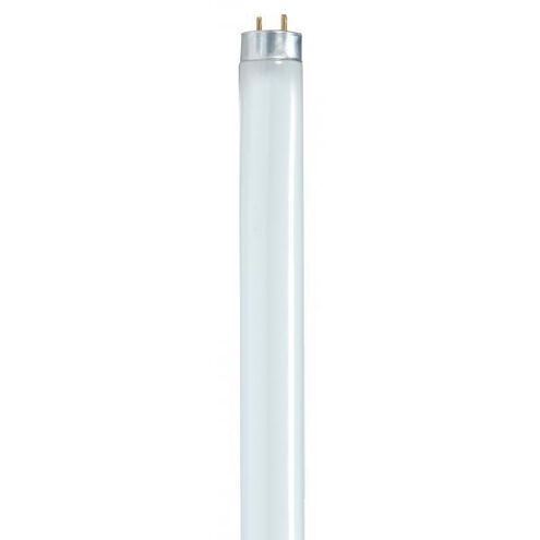 Lumos Fluorescent 32 watt 6500K Light Bulb, T8 Linear