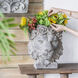 Crown Lion Gray Outdoor Planter
