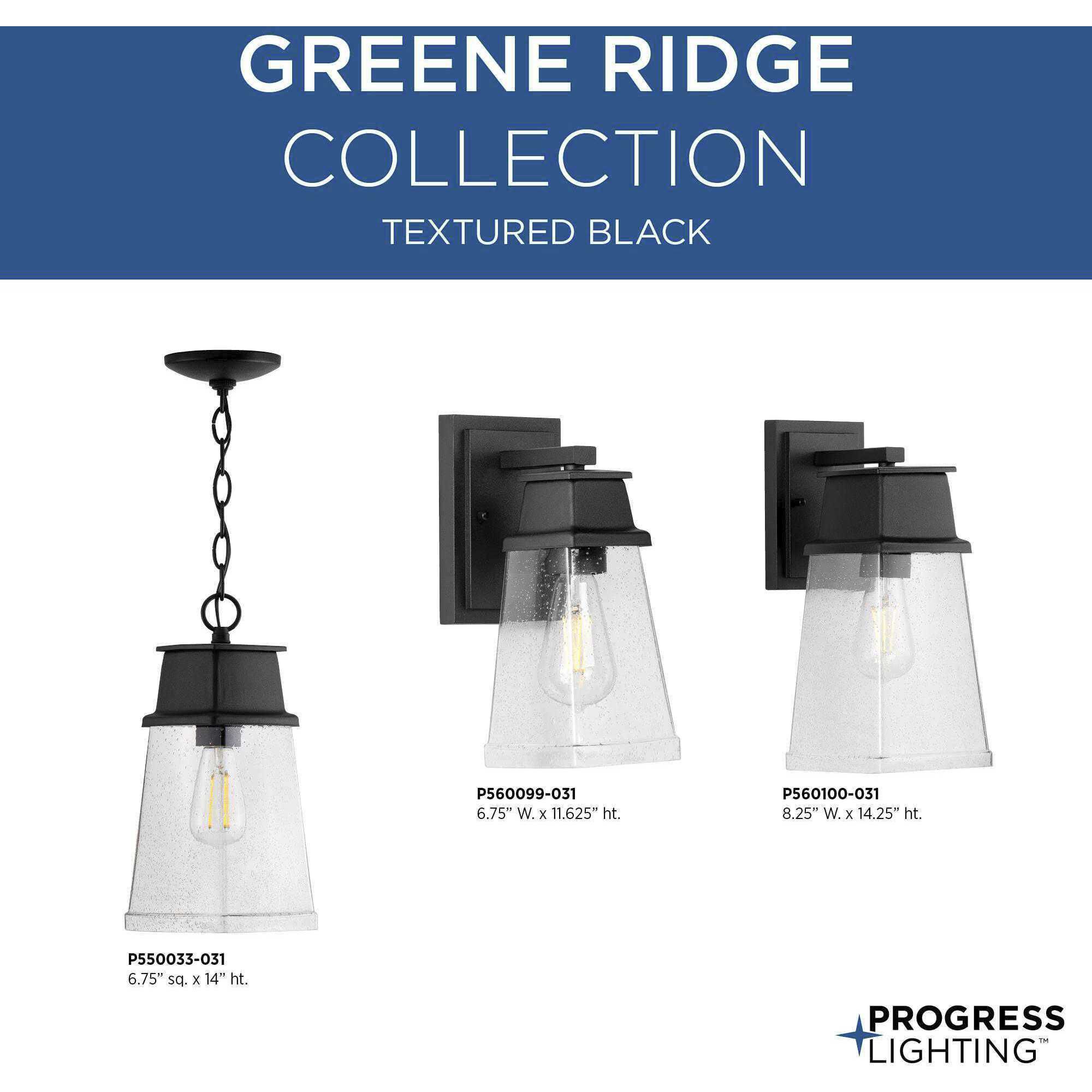 Greene Ridge 1 Light 14 inch Textured Black Outdoor Wall Lantern, Medium