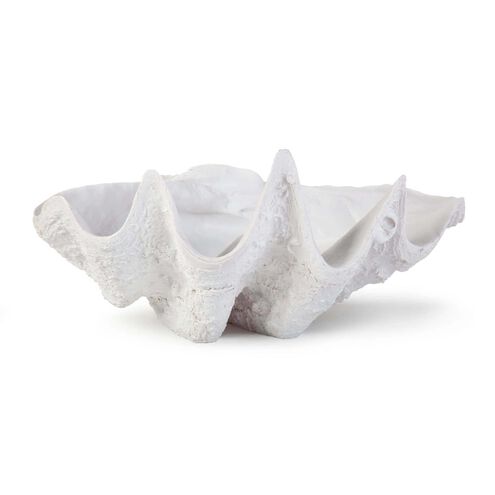 Bimini Clam 29.5 X 12 inch Sculpture