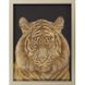 Animals Collection Orange Framed Art