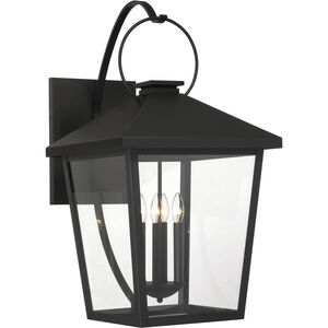 Parkside 4 Light 32 inch Sand Coal Outdoor Wall Sconce