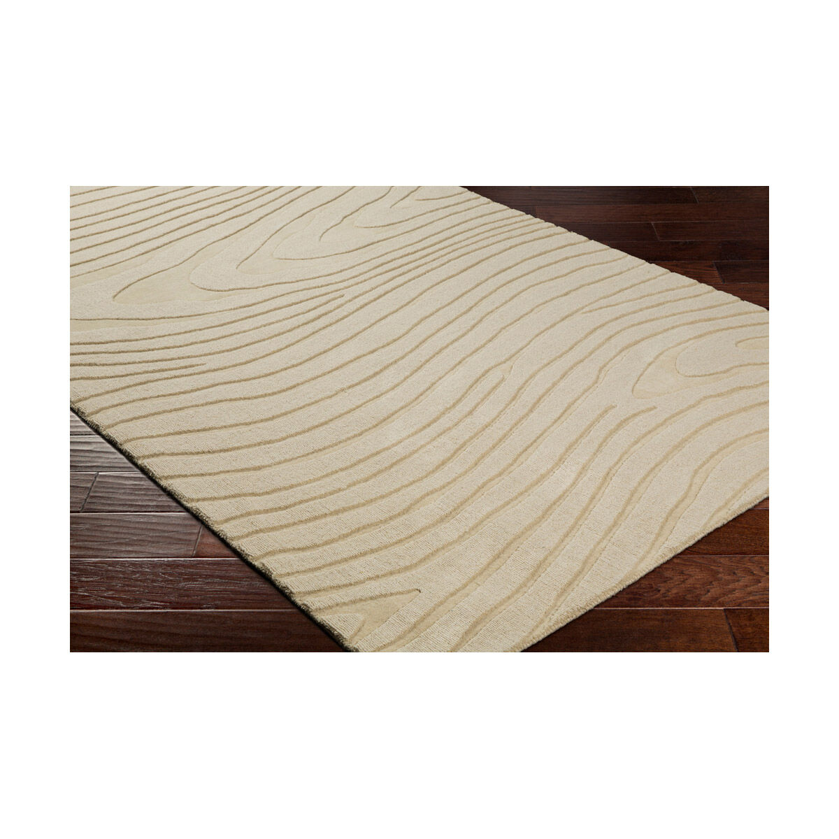 Mystique 63 X 39 inch Cream Rugs, Rectangle