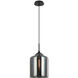 Irresistible Organic Charm 1 Light 9.88 inch Smoke Pendant Ceiling Light