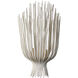 Chapman & Myers Astra Sculpted Sconce Wall Light