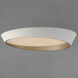 Slant LED 31.5 inch White with Gold Flush Mount Ceiling Light