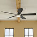 Lucian 60 inch Polished Nickel with Black/Silver Blades Ceiling Fan