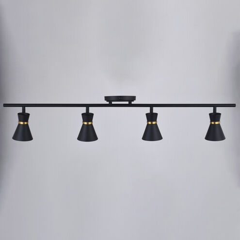 Alto 4 Light 120 Matte Black and Satin Brass Directional Light Ceiling Light