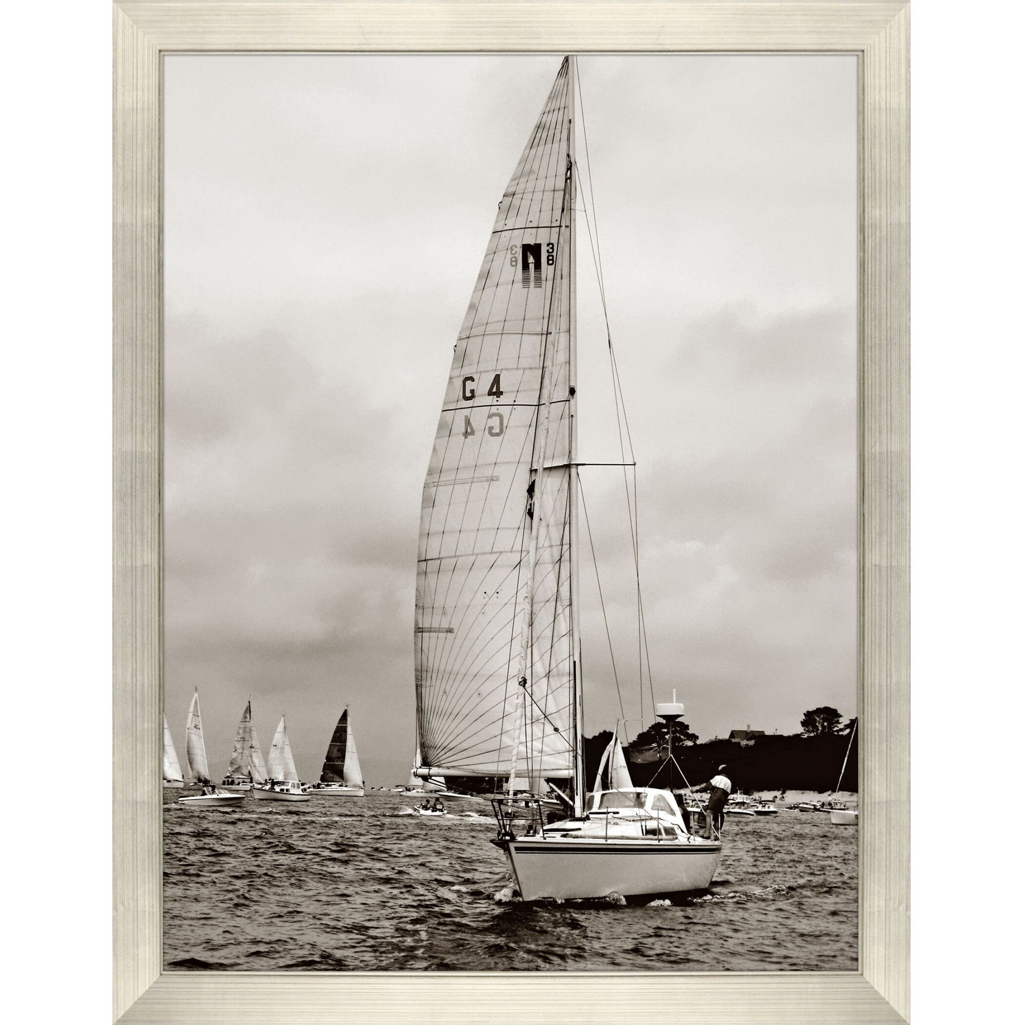 Regatta Brown and Gray and Sepia Framed Art