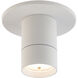 Twist-N-Lite LED 5 inch White Flush Mount Ceiling Light, WAC Limited