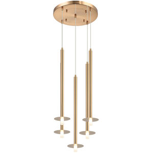 Reigndrop 5 Light 13.88 inch Aged Gold Brass Pendant Ceiling Light