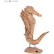 Whinny 20 X 6 inch Sculpture