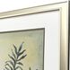 Ferns Aglow Green Framed Art, Propac
