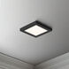 Chip LED 5 inch Black Flush Mount Ceiling Light