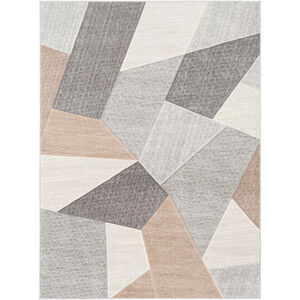 Remy 87 X 63 inch Rugs, Rectangle