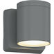 Outdoor Cylinder 1 Light 5.8 inch Silver LED Wall Sconce Wall Light