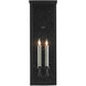 Tanzy 2 Light 23.75 inch Midnight Black Outdoor Wall Sconce, Medium